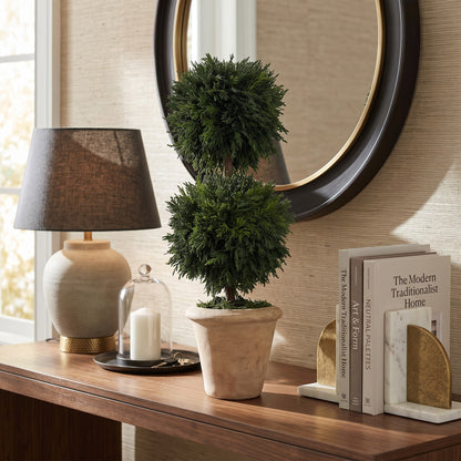 16" Preserved Double-Ball Cypress Topiary
