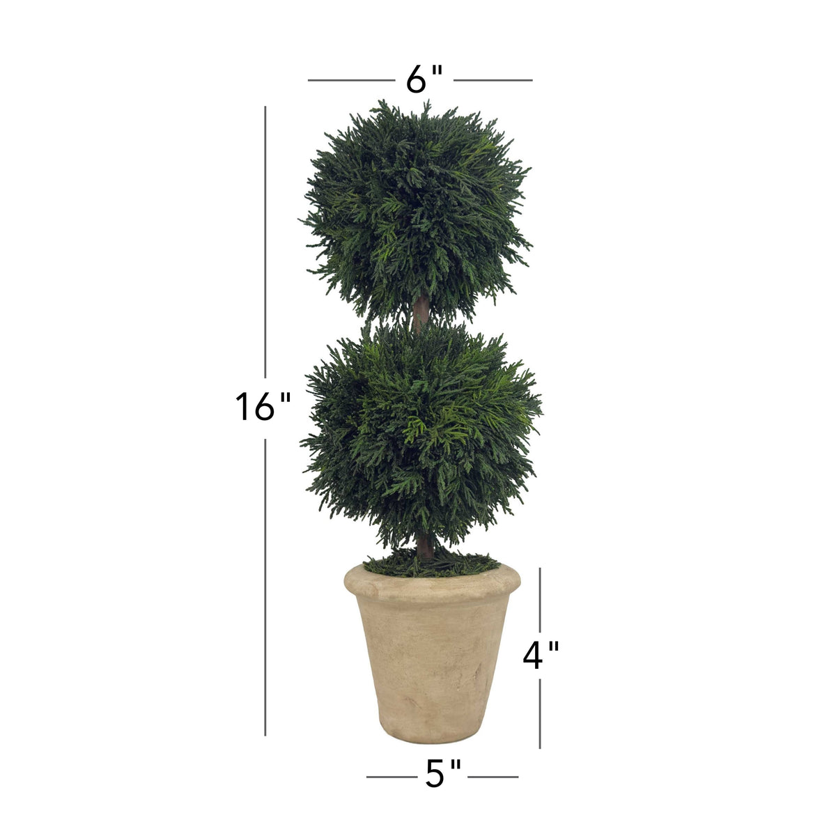 16" Preserved Double-Ball Cypress Topiary