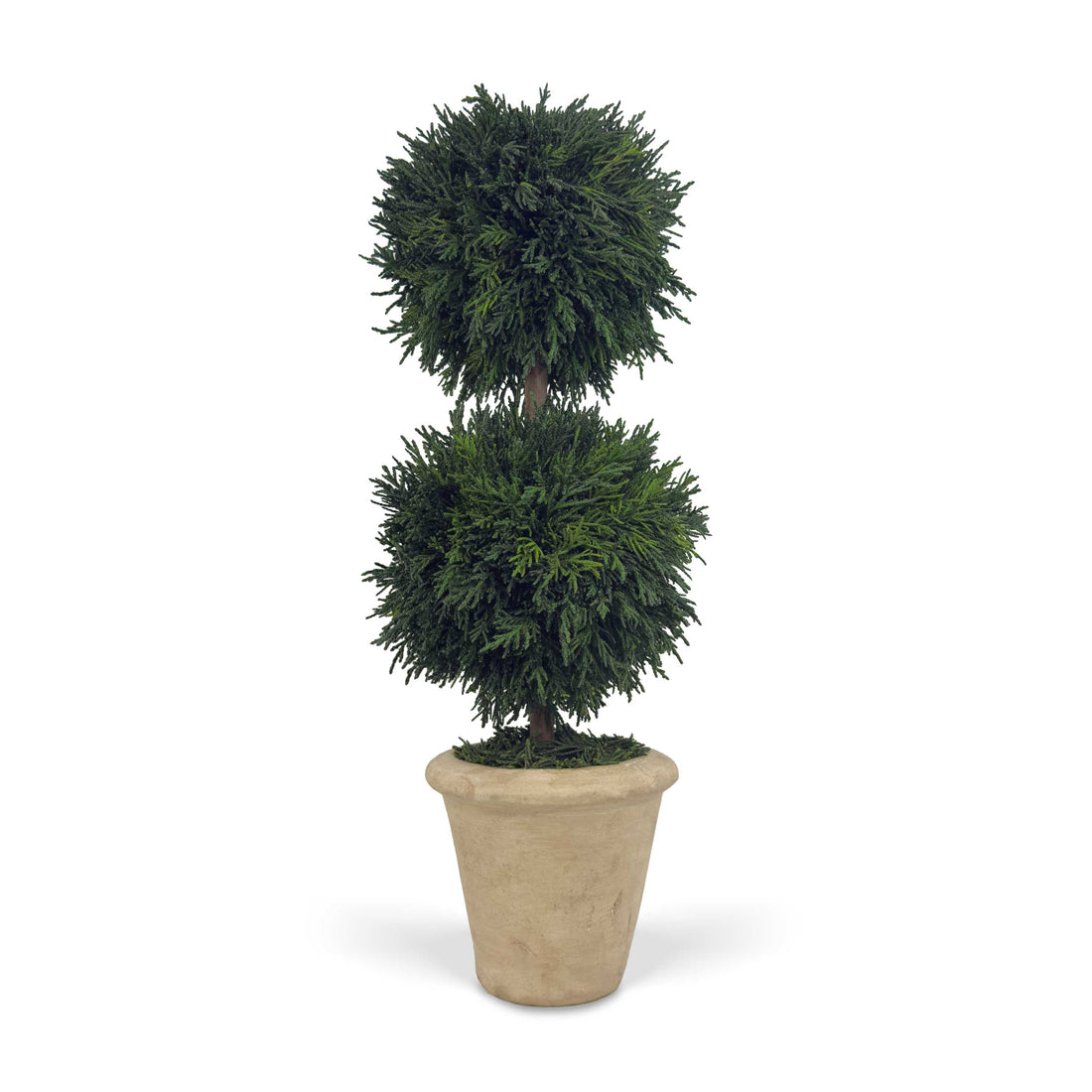 16" Preserved Double-Ball Cypress Topiary