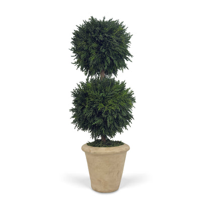 16" Preserved Double-Ball Cypress Topiary