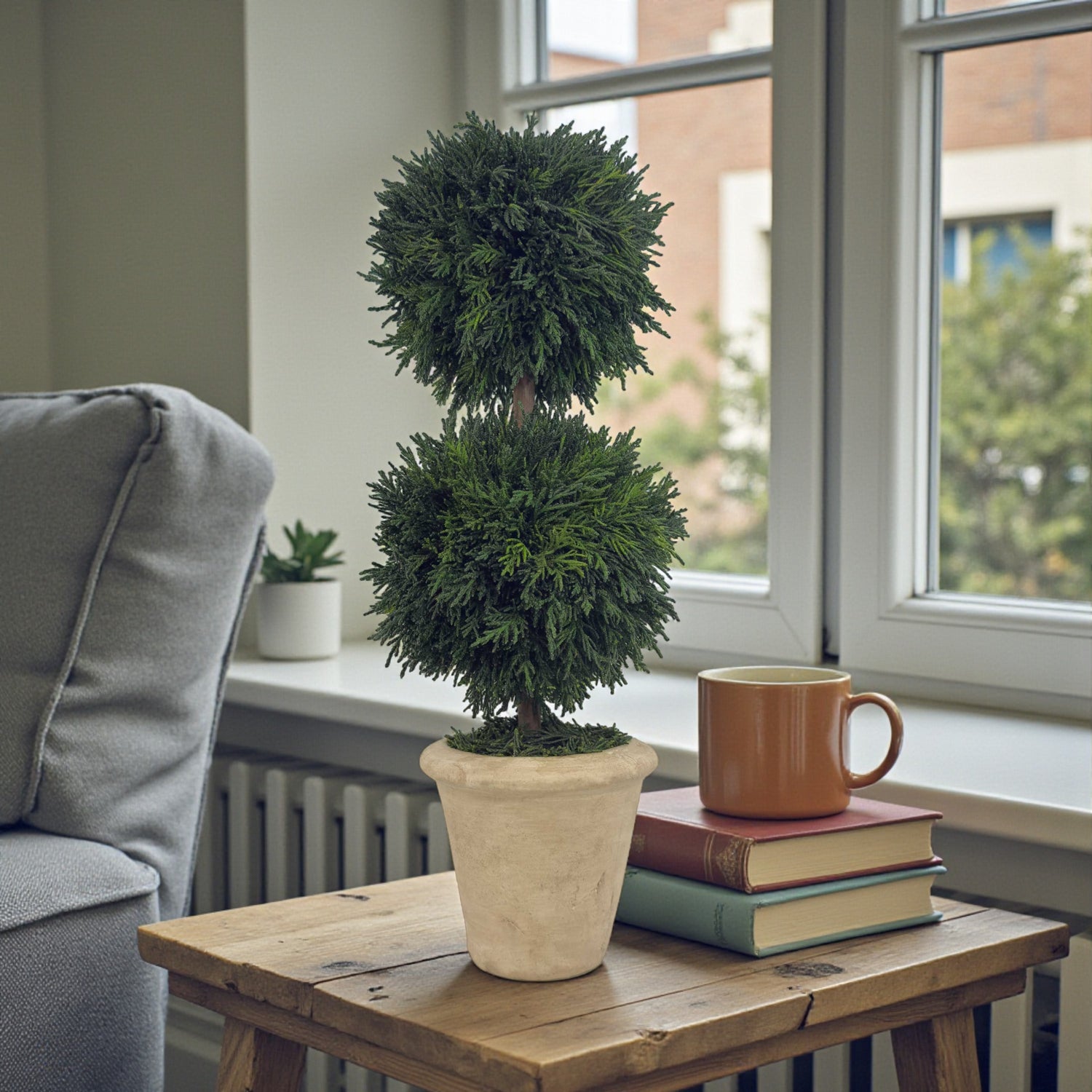 16" Preserved Double-Ball Cypress Topiary