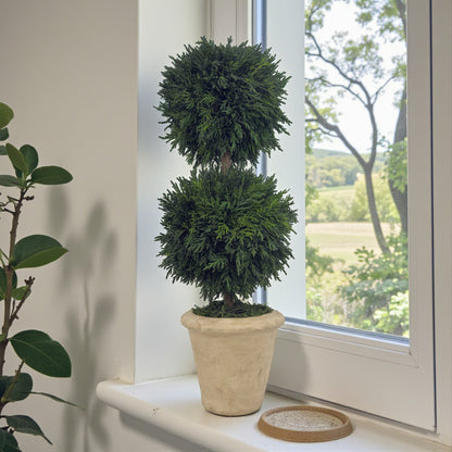 16" Preserved Double-Ball Cypress Topiary