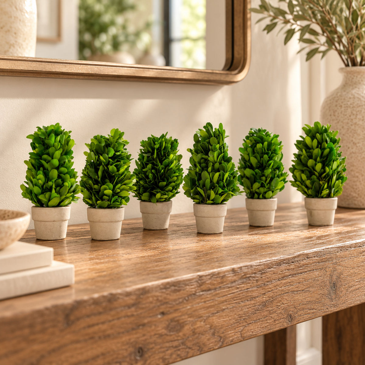 6" Preserved Boxwood Cone Topiary, 6Pk