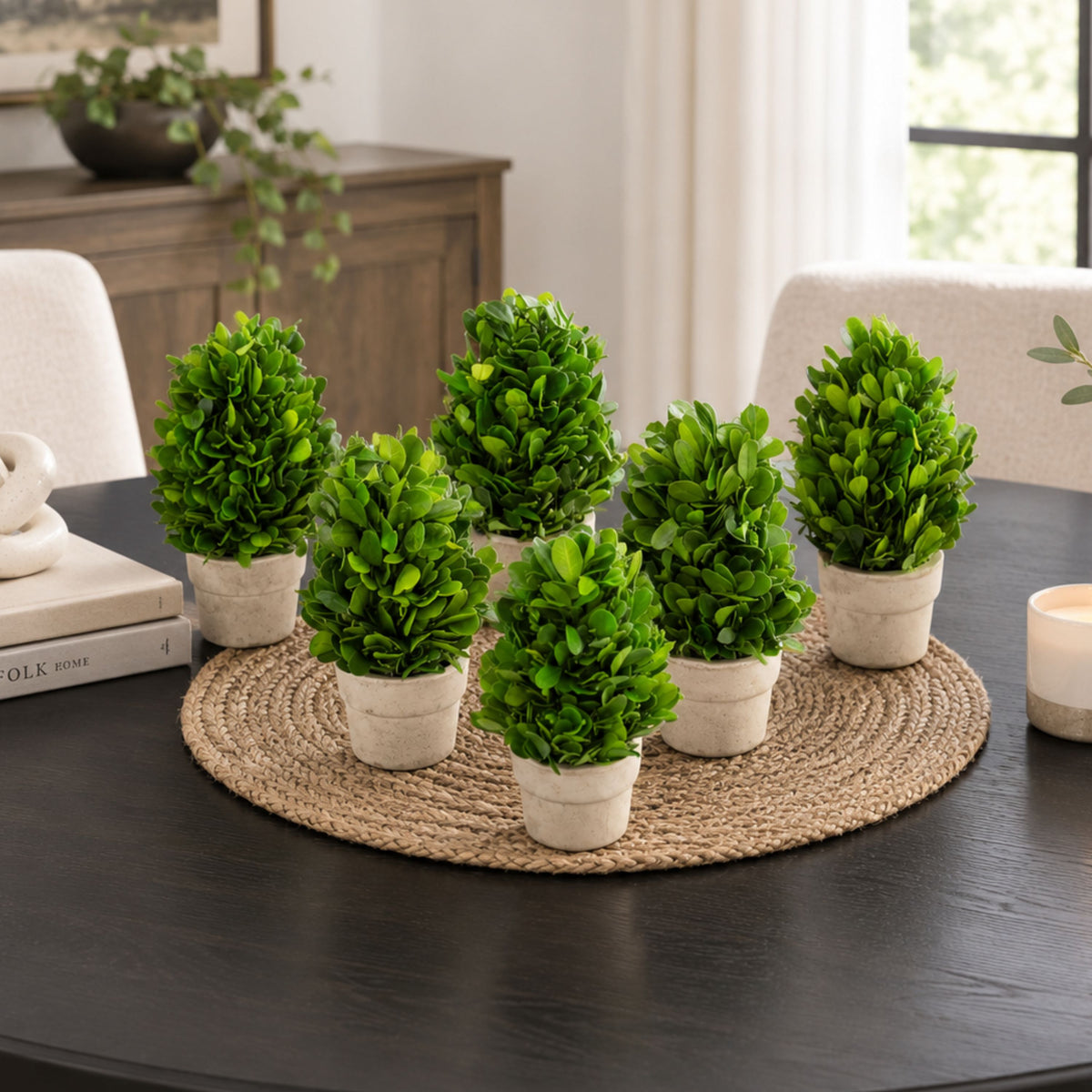 6" Preserved Boxwood Cone Topiary, 6Pk