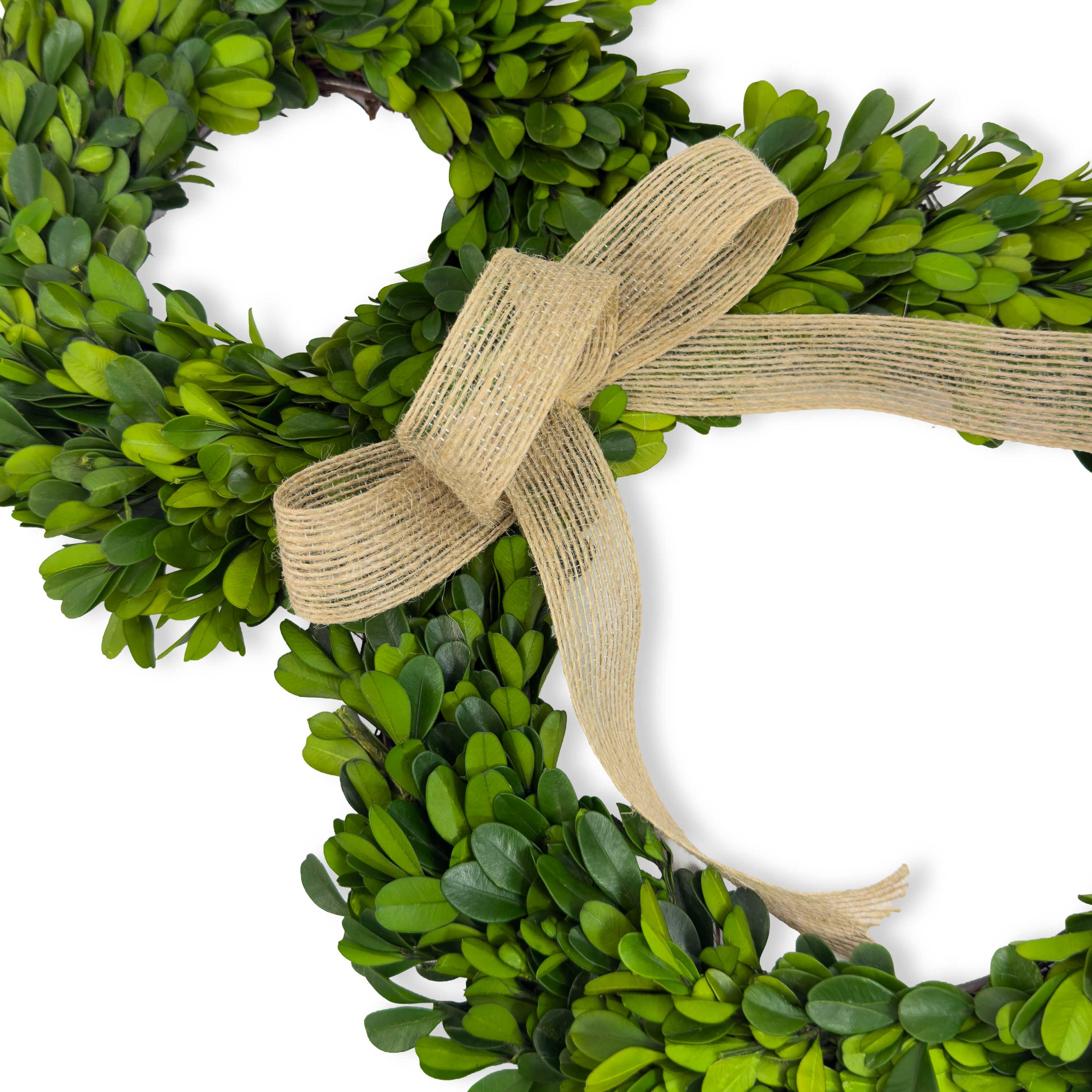 Preserved Boxwood Rabbit Shaped Topiary Décor