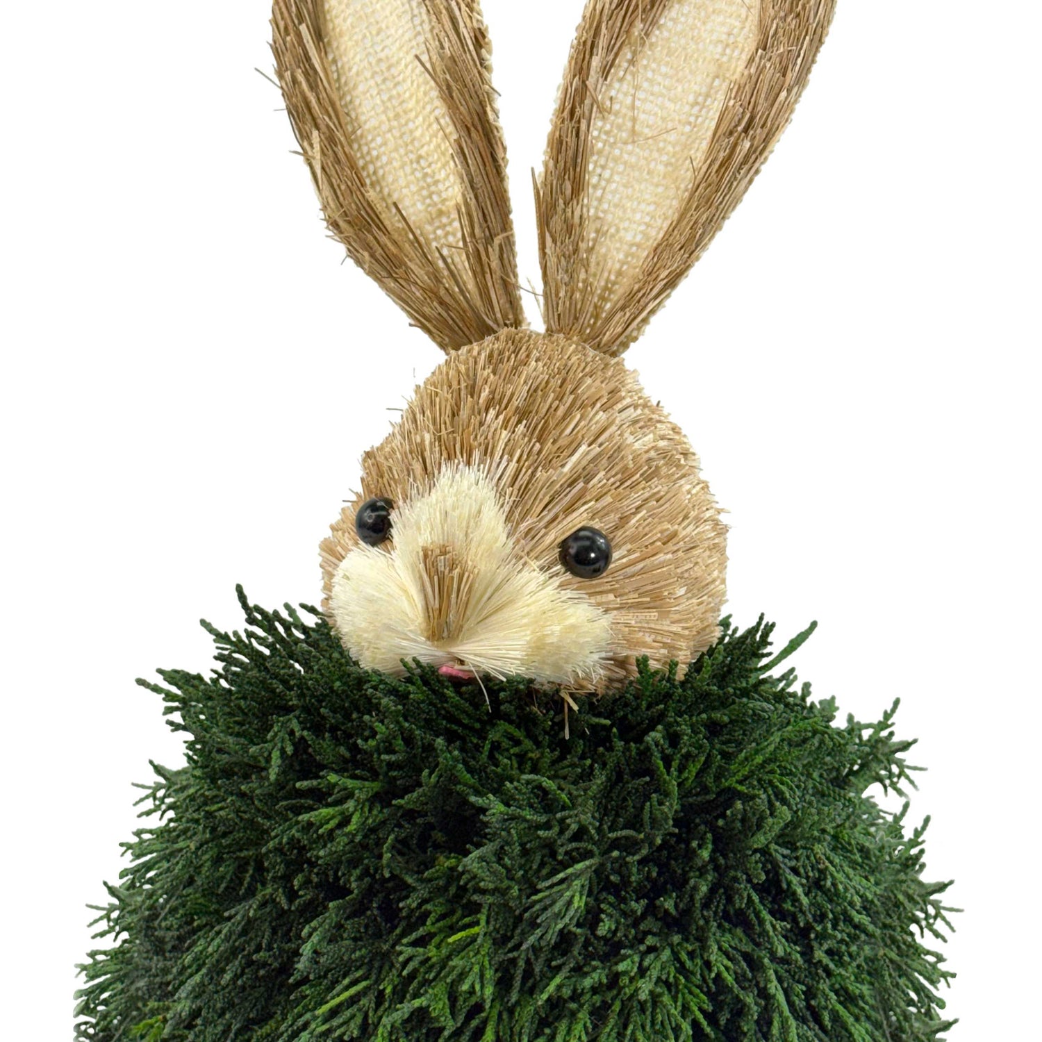 Preserved Single-Ball Boxwood &amp; Cypress Rabbit Shaped Topiary Décor Set of 2