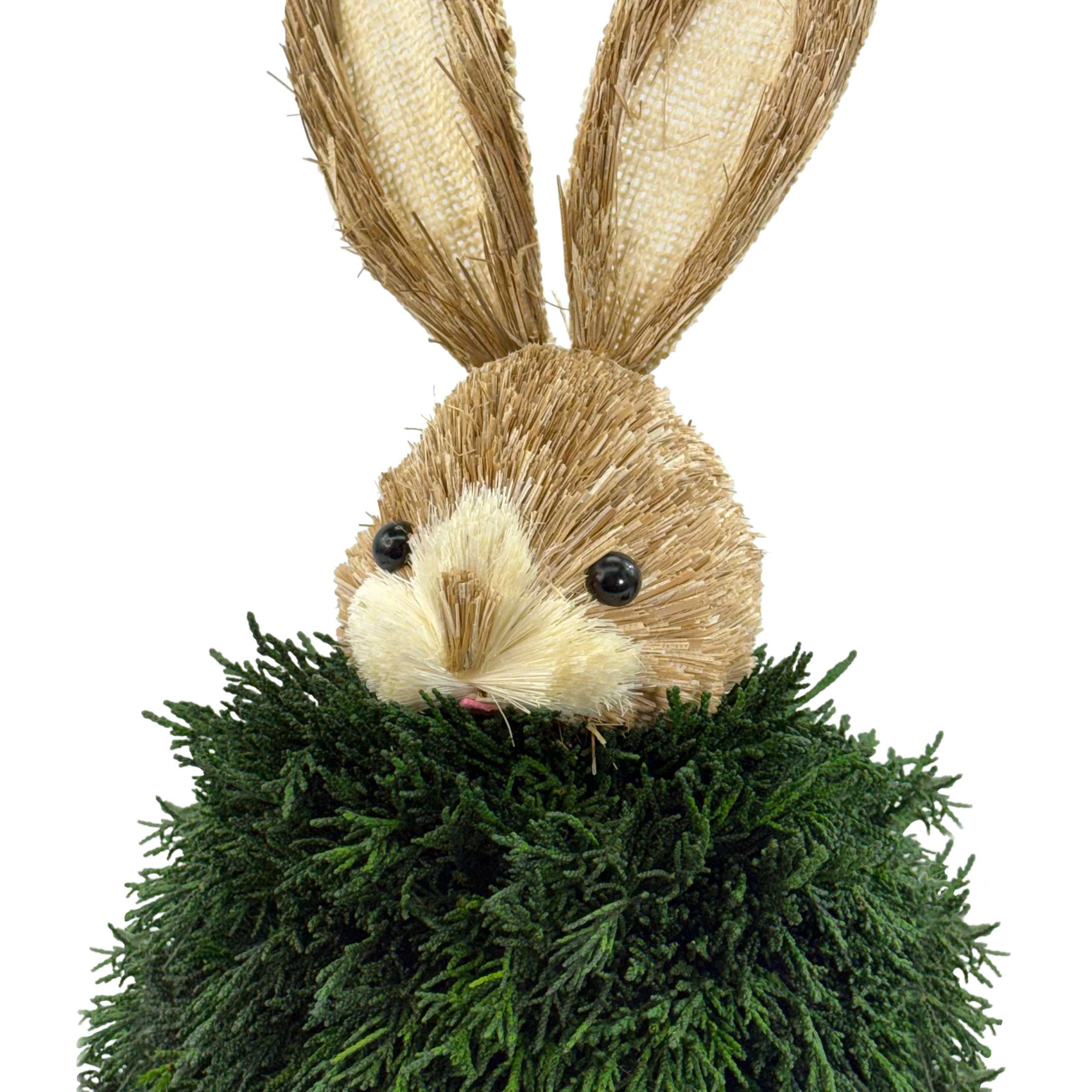 Preserved Single-Ball Boxwood &amp; Cypress Rabbit Shaped Topiary Décor Set of 2