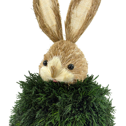 Preserved Single-Ball Boxwood &amp; Cypress Rabbit Shaped Topiary Décor Set of 2